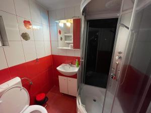 a bathroom with a shower and a toilet and a sink at Casa Floraly in Braşov +24 photos