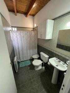 a bathroom with a toilet and a sink at Vista Malbec II in Ciudad Lujan de Cuyo