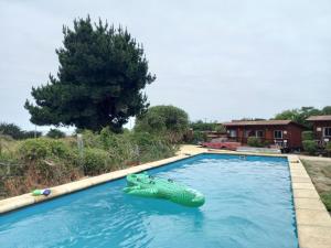 um jacaré insuflável numa piscina num quintal em Cabañas Puertecillo em Puertecillo