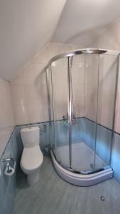 un bagno con wc e doccia in vetro di Vila Bjelasica a Kolašin Altre 7 foto