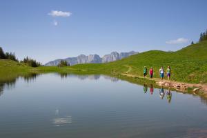 Paesaggio naturale nelle vicinanze del bed & breakfast