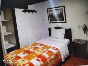 um quarto com uma cama e uma fotografia na parede em Hotel Don Blas em Popayán