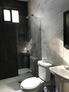 a bathroom with a shower and a toilet and a sink at Terracota Corner Rooms in Campeche