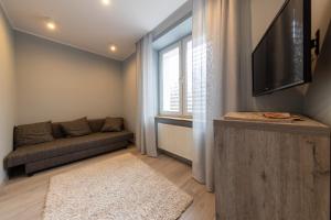 TV a/nebo společenská místnost v ubytování APARTVIP Akademicka