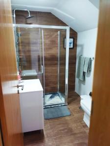 a bathroom with a shower and a sink and a toilet at Apto Morabeza T2 Praia in Praia
