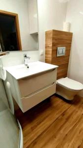 ein Bad mit einem Waschbecken und einem WC in der Unterkunft Apartament 10 in Płock