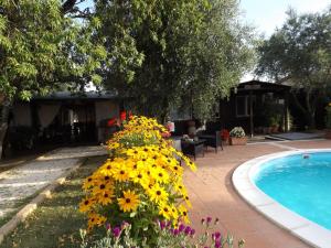 Bazén v ubytovaní Agriturismo San Giacomo alebo v jeho blízkosti