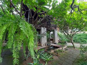 a building in the middle of a garden with trees at Baan Hanibah in Chiang Mai