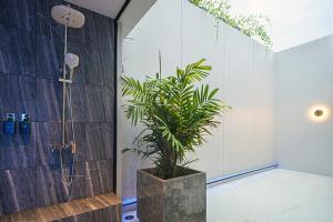 a bathroom with a shower and a potted plant at INNLUXPHUKET in Ban Laem Hin