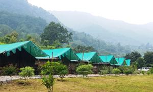 a row of tents with blue roofs in a field at The Raajas - Camp & Resorts in Rishīkesh
