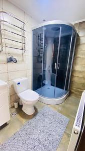 uma casa de banho com um WC e uma cabina de duche em vidro. em Бо&Не em Yablunytsya