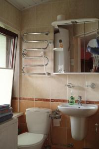 a bathroom with a toilet and a sink at Adomo Rojus in Palanga