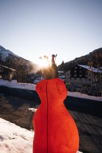 zwei auf einem Stück sitzende Vögel in der Unterkunft DESIGn und FERIEN HOTEL CHRISTANIA in Fiesch