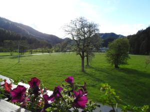 Paesaggio naturale nelle vicinanze dell'appartamento