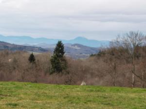 a green field with trees and mountains in the background at Les chambres d'hôtes de la Frissonnette in Auzelles