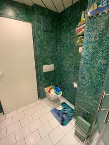 ラートシュタットにあるFerienwohnung Holidayの緑の壁にトイレが付いたバスルーム