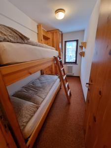 a room with two bunk beds and a window at Hirsch Haus in Santo Stefano di Cadore