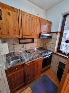 a small kitchen with wooden cabinets and a sink at Hirsch Haus in Santo Stefano di Cadore