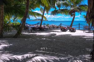 a beach with chairs and palm trees and the ocean at Anse Kerlan Beach Chalets in Anse Kerlan