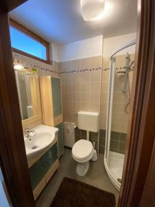 a bathroom with a toilet and a sink and a shower at Grazioso monolocale a Sestriere in Sestriere