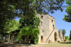 un viejo edificio de piedra con un árbol delante de él en Masseria Cristo, en Ugento