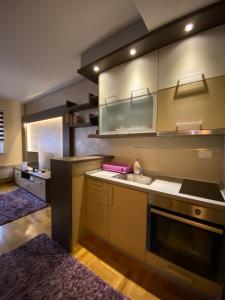 Kuhinja ili čajna kuhinja u objektu Apartman Ana