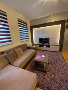 uma sala de estar com um sofá e uma televisão em Apartman Ana em Vrnjačka Banja