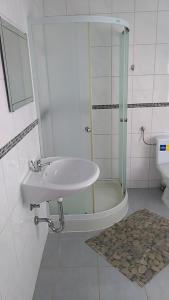 a bathroom with a sink and a shower and a toilet at Ferienhaus für Monteure in Bitterfeld-Wolfen in Steinfurth