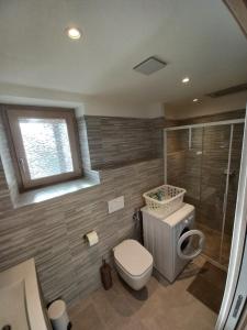 a bathroom with a toilet and a glass shower at Sclap Appartamenti - Livigno in Livigno