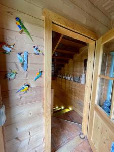 Fotografie z fotogalerie ubytování Pod Salamandrom v destinaci Jaworki