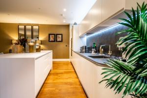 The Residence @ Ryedale House