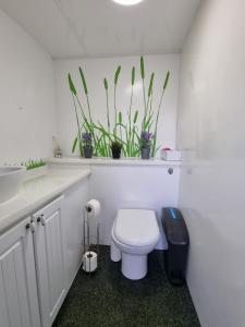 
A bathroom at Nelson Park Riding Centre Ltd - Fox Pod Glamping Pod
