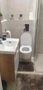 Ванна кімната в Apartman Mina Jezero