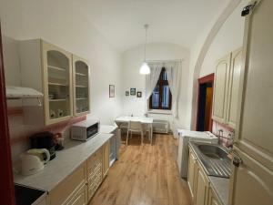 Kuchyň nebo kuchyňský kout v ubytování Apartment Jackie