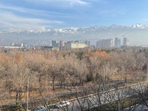 Photo de la galerie de l'établissement Cozy three-room apartment with Mountain view, à Almaty