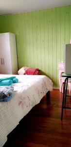 a bedroom with a bed and a green wall at Pousada Costa dos Canions in Cambará