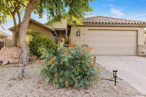 a small christmas tree in front of a garage at Honeysuckle Oasis in Gold Canyon