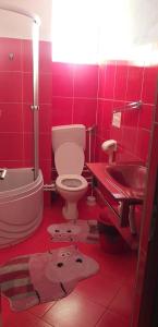 a red bathroom with a toilet and a sink at Agropensiune Turistica Maria in Isverna