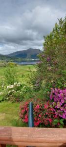 a wooden bench in front of a garden with flowers at 2 CV at Lochgoilhead with Swedish Hot Tub in Lochgoilhead