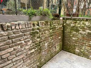 eine Backsteinmauer mit Pflanzen darauf in der Unterkunft Il nido degli angeli in Bologna
