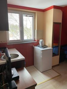 Kuchyň nebo kuchyňský kout v ubytování Apartments Razvršje