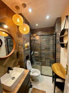 y baño con aseo, lavabo y ducha. en Apartament Golden Art en Mielec