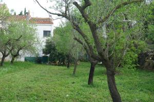 Zahrada ubytování Casa El Regall + 37 fotografií
