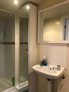 a bathroom with a sink and a shower and a mirror at The Artist’s Hideaway. in Woking