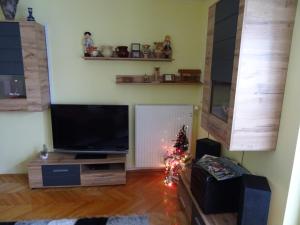 TV a/nebo společenská místnost v ubytování Apartment Tjaša