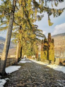 a cobblestone road with trees and a fence at Jugul Țăranului Agropensiune Polovragi, Gorj in Polovragi