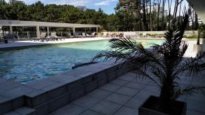 Una piscina con una palmera al lado de un edificio. en PentHouse con fantástica vista y Amenities únicos, en Punta del Este