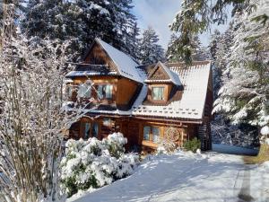 ein Blockhaus im Schnee in der Unterkunft Good Bye Lenin Hostel Zakopane in Zakopane