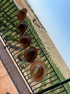 Fotografia z galérie ubytovania FINCA VALDELAJARA a 20 minutos de Puy du Fou v destinácii Toledo
