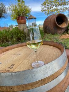 Nápoje v ubytovaní FINCA VALDELAJARA a 20 minutos de Puy du Fou
